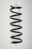 SPIDAN 49575 Coil Spring